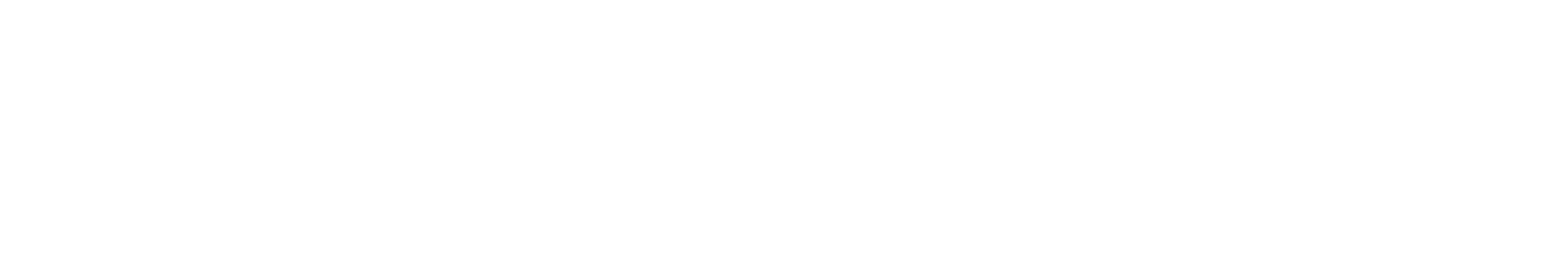 GM TRADERS LTD